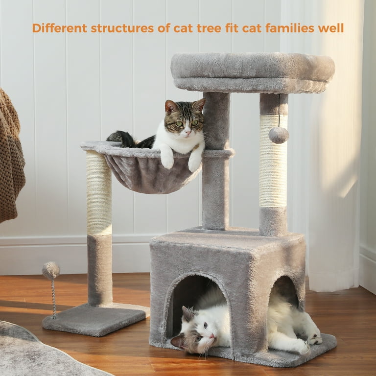 PurrPod™