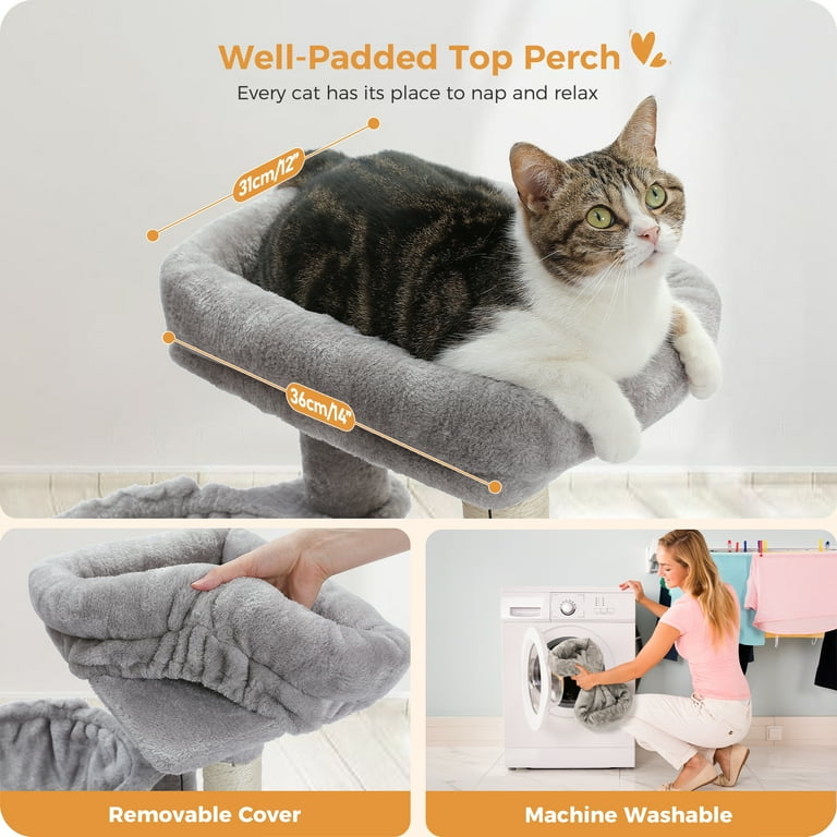 PurrPod™